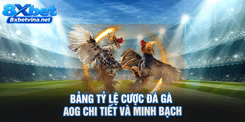 Bảng tỷ lệ cược đá gà AOG chi tiết và minh bạch