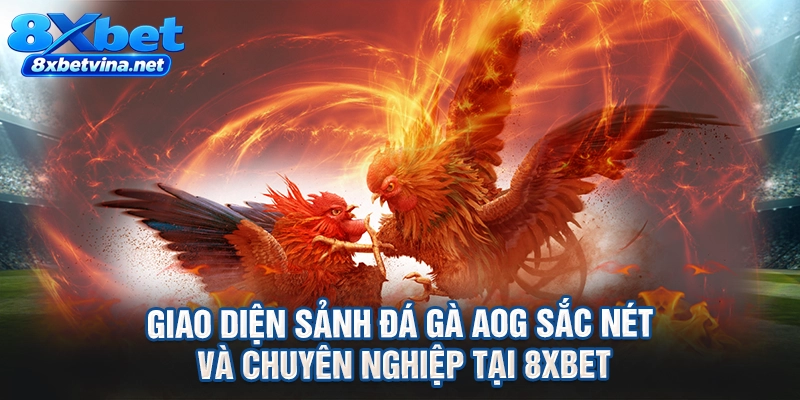 Giao diện sảnh đá gà AOG sắc nét và chuyên nghiệp tại 8XBET