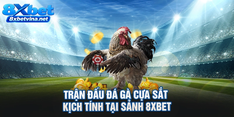 Trận đấu đá gà cựa sắt kịch tính tại sảnh 8XBET